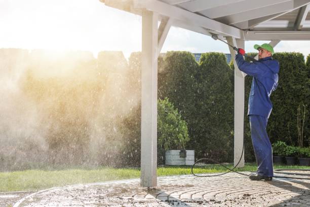 Animal Enclosure Cleaning in Kaumakani, HI